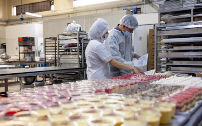 Pasteurisation, stérilisation, congélation : quelles limites pour les bouteilles en verre ?